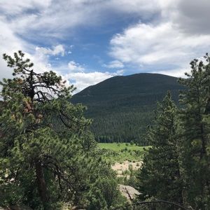 Meet your Posher, Caleb